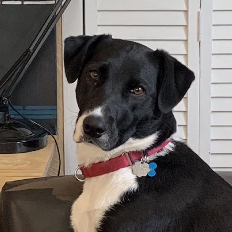 Profile Picture of Orsell